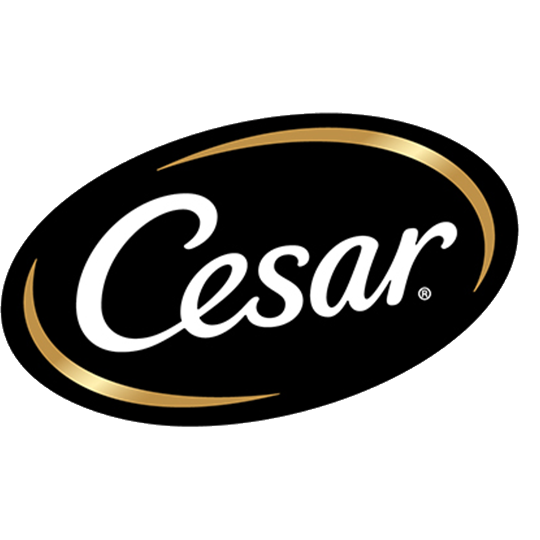 Cesar